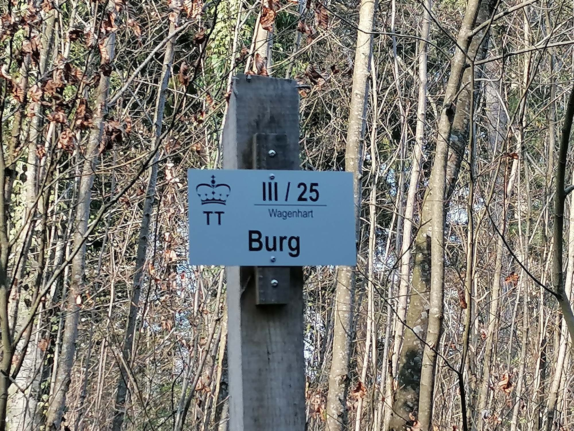 mi-ka-3.jpg